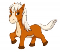 1990属马的人2020年结婚吉日 属马晚婚比较幸福