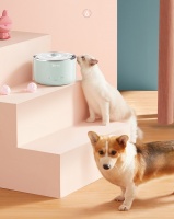 铲屎官的秘密武器！美的小泉眼宠物饮水机，毛孩子喝水不愁！