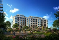 博世热力：精装市场回暖，家装行业带动国内壁挂炉市场发展利好