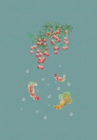 新浪精选：雅诗澜——《国潮》