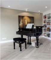 那，你们要的琴房用的无雾加湿器来了