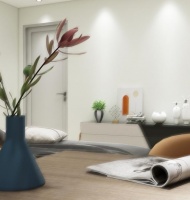 存量房再装修仍是主战场！