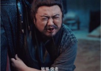 《赘婿》大结局意难平,第二季可以期待下,分享巧用当贝市场下载软件观看方法