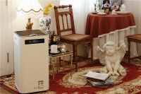 室内也要谨防花粉过敏，IAM空气净化器助你杜绝过敏原