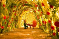 HCK哈士奇×小王子，这款联名冰箱也太治愈了吧！