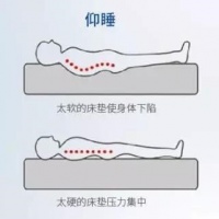 如何挑选合适的床垫？东宝床垫有妙招