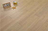 福力得——我想带你看森林