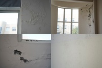 年年来，年年烦，墙面发霉怎么办？