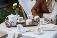 起航！Royal Dutch皇家荷兰入驻天猫