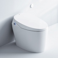 论智能马桶对生活提升品质的重要性