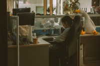 木邻7周年，让生活合乎你的本心   的本心