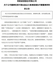 帝欧家居鲍杰军、丁同文两董事遭证监会立案调查，双双宣布辞职