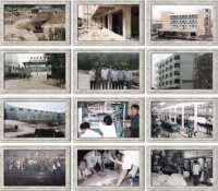 一张图带你读懂玉兰底气