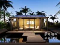 派雅门窗，高端门窗赛道之王