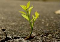 今朝装饰感慨21年历程 我用21年成长 只为成为更好的自己