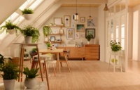 澳思柏恩净醛板远离“谈醛色变”