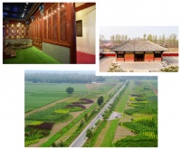 门店探秘｜河北高碑店 · 方寸之间诠释生活新哲学