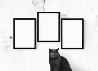 涂料行业冰火两重天