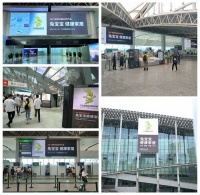 建博会落幕|让家更好，兔宝宝健康家居完美收官