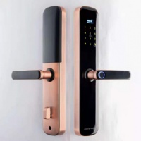 “1元试用30天”活动持续升温中