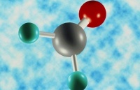 别把家里变成“热带雨林”啦 用这几招轻松搞定不香吗？