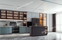 引领风潮，做厨电时尚家，浙派诠释“时尚厨房”新主张