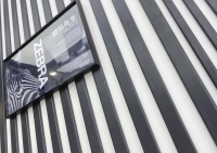 斑马先生：用活力书写黑白调的情怀