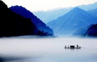 威廉顿名瓷系列｜简奢美学，演绎个性品质生活