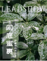 【领绣】“家”点灵感 让生活时刻充满新鲜感