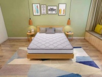 进口乳胶床垫怎么选？攻略来喽，速看！