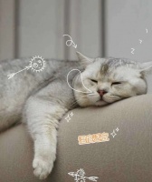 副本春困秋乏夏打盹，大金空调解密如何解乏提神