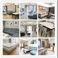 专注35载，圈粉无数