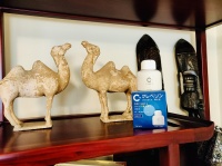 加护灵 警惕办公室的“无形杀手” 做好除菌是关键