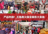 超耐磨直击消费痛点，大角鹿超耐磨瓷砖+岩板火爆市场