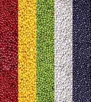 顶墙的色彩搭配蕴含着怎样的魅力？