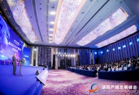 顶流IP 齐聚长沙论道城市名片