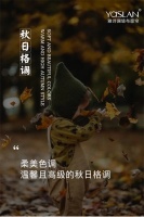 【YASLAN】柔美色调，温馨且高级的秋日格调