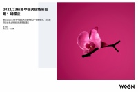 趋势机构WGSN发布22/23秋冬中国关键色彩：蝴蝶兰