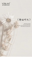 【YaSLAN】宁静居室的沉淀，大写的温柔