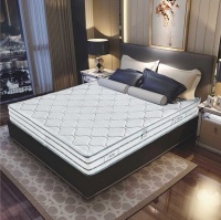 博纳方丹双十一全国门店联动活动的销冠王是谁？“新罗马”！