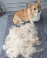 亲测好用！EyeVac智能吸尘器