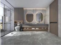 【全瓷中板】450X900MM·双零低吸·假一赔十