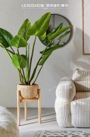 【领绣·菁华】空间色彩的有效搭配你知道多少