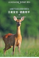 【领绣·菁华】恬淡悠然丨自然与都市真假难辨