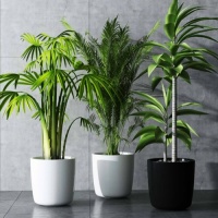 有哪些甲醛去除的正确方法？FOH除甲醛果冻科学除醛，效果令人安心