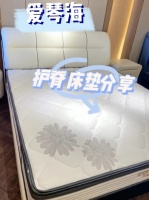 试水成功！两千元也能买到高性价比的床垫