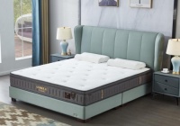 后悔买太晚的东宝床垫，从此爱上睡懒觉