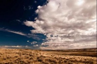 双碳目标下的新机遇，系统门窗行业如何把握？