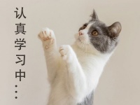 用过几个牌子的无雾加湿器，再来说说博沃纳