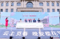 赴春天之约 云上觅春·晚安樱花节浪漫来袭